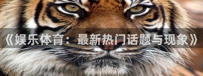 新航娱乐登录地址：《娱乐体育：最新热门话题与现象》