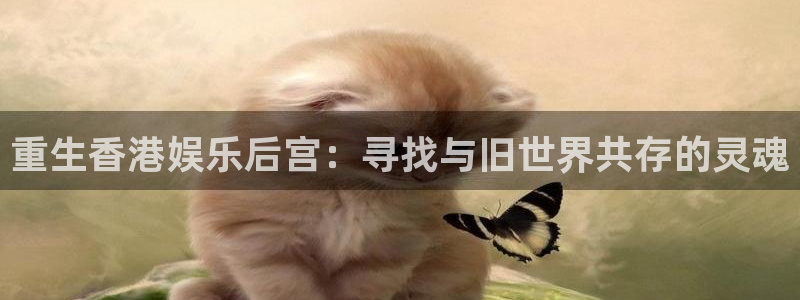 新航娱乐注册：重生香港娱乐后宫：寻找与旧世界共存的灵魂