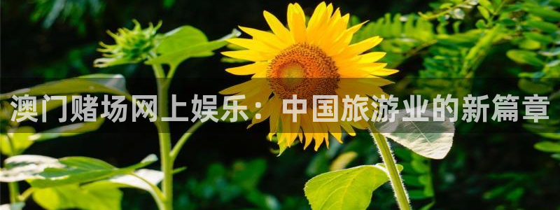 新航娱乐注册：澳门赌场网上娱乐：中国旅游业的新篇章