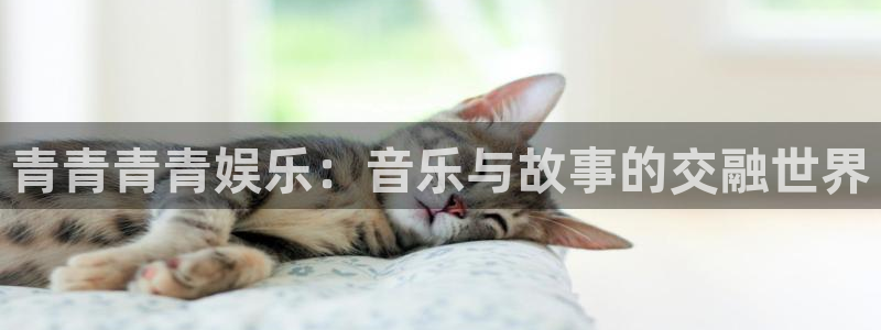 新航娱乐登录地址：青青青青娱乐：音乐与故事的交融世界