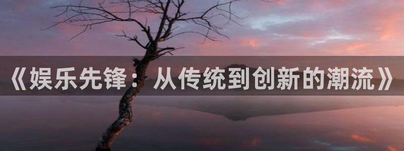 新航娱乐注册：《娱乐先锋：从传统到创新的潮流》
