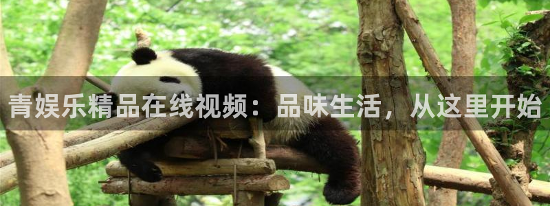新航娱乐官网登录入口：青娱乐精品在线视频：品味生活，从这里开始